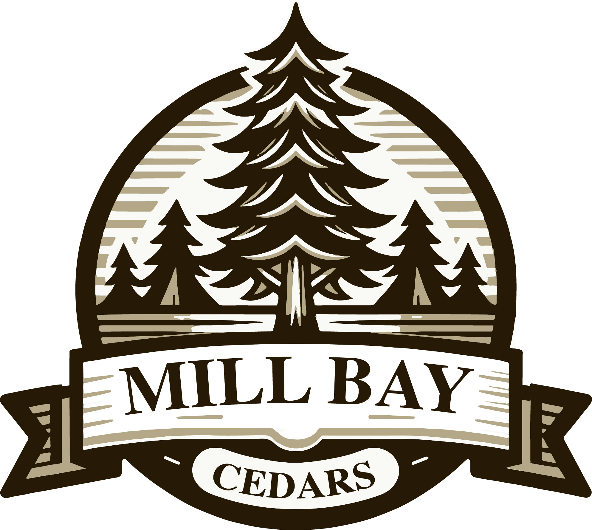 Mill Bay School